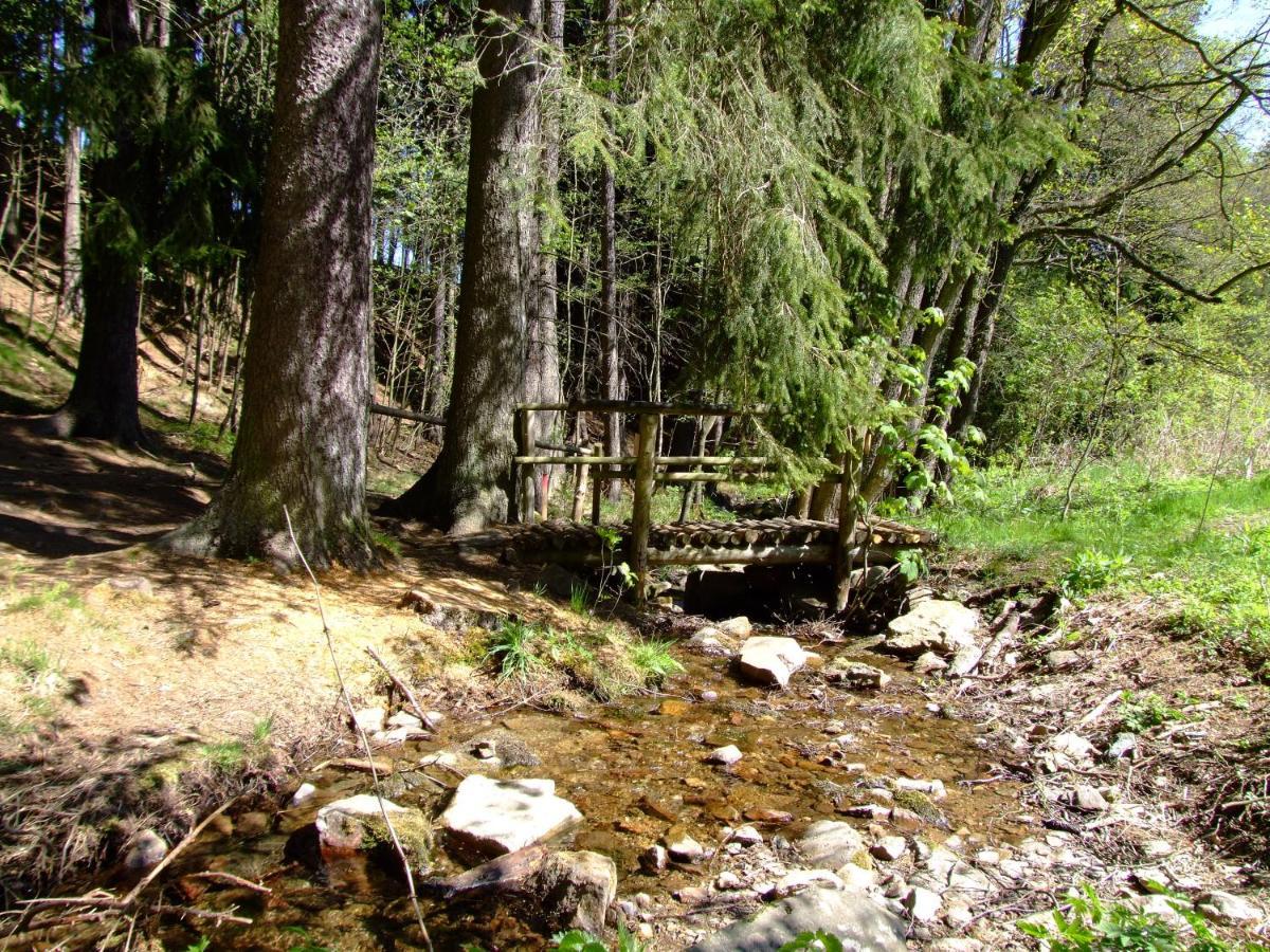 Waldgasthof & Hotel Am Sauwald 태넨버그 외부 사진